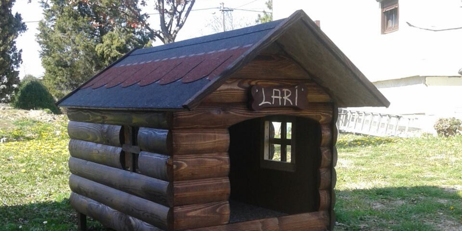 LARI