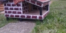 LOVIMER